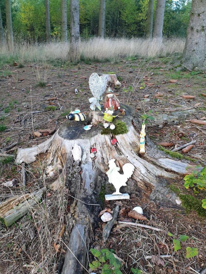 Andinas Ferienwohnung In Ruhiger Lage Direkt Am Wald Wilnsdorf المظهر الخارجي الصورة